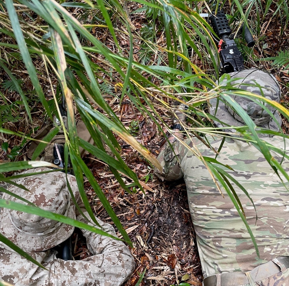 1st SFG (A), participates in Jungle Warfare Exercise 22 alongside 3rd Marine Division