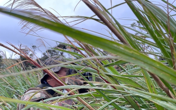 1st SFG (A), participates in Jungle Warfare Exercise 22 alongside 3rd Marine Division