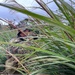 1st SFG (A), participates in Jungle Warfare Exercise 22 alongside 3rd Marine Division