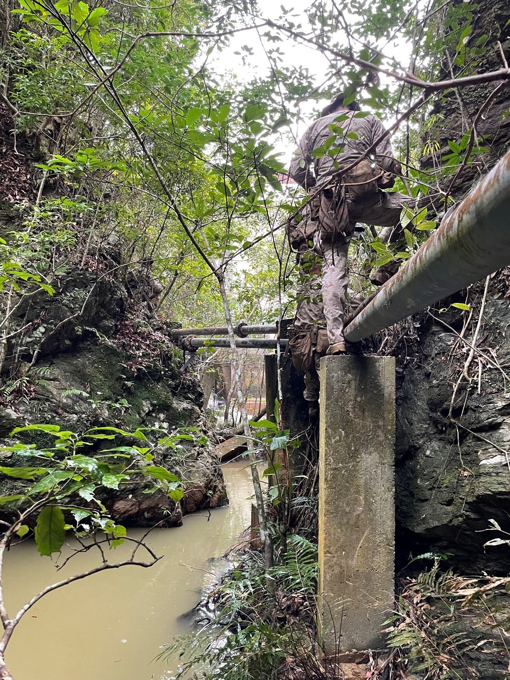 1st SFG (A), participates in Jungle Warfare Exercise 22 alongside 3rd Marine Division