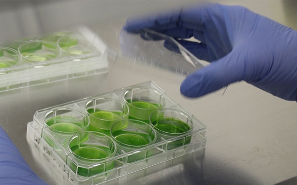 Army Scientists Seek Capability against Waterborne Toxins