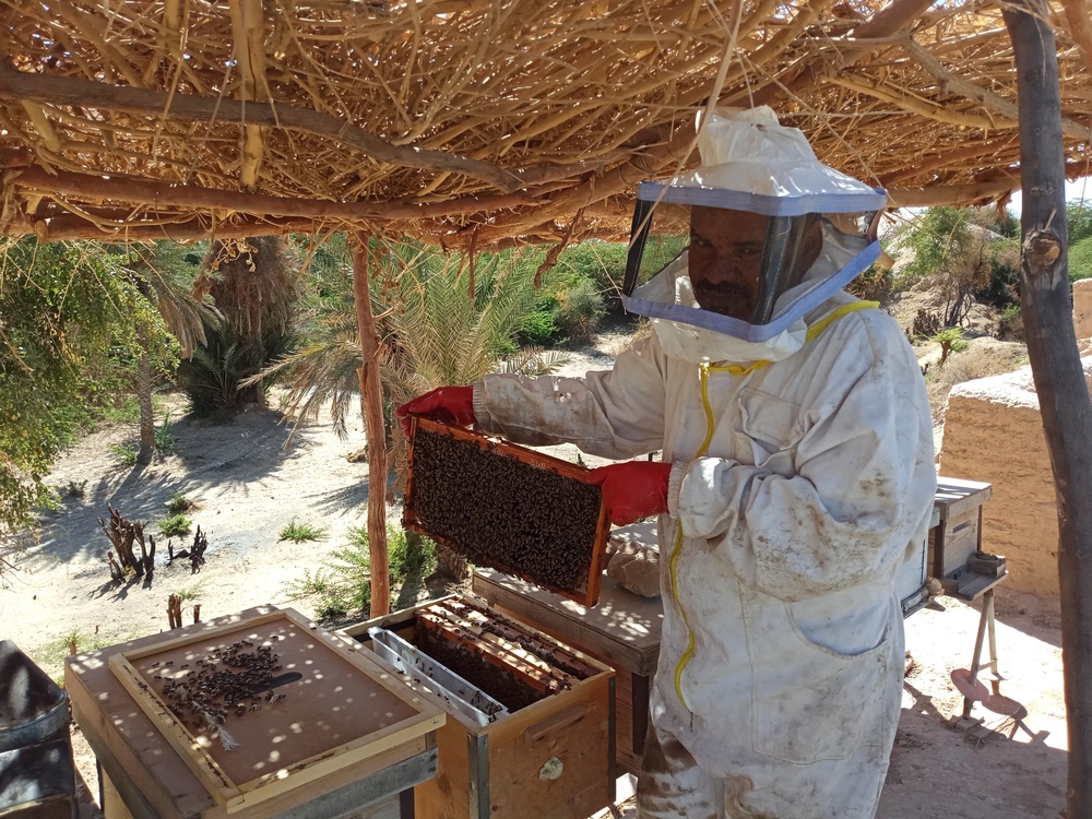 Beekeeper Muhsin Hadi Obaid Baziad tends to his bees at his family’s apiary in Hadramawt, Yemen in February 2022