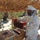 Beekeeper Muhsin Hadi Obaid Baziad tends to his bees at his family’s apiary in Hadramawt, Yemen in February 2022 Beekeeper Muhsin Hadi Obaid Baziad tends to his bees at his family’s apiary in Hadramawt, Yemen in February 2022