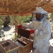 Beekeeper Muhsin Hadi Obaid Baziad tends to his bees at his family’s apiary in Hadramawt, Yemen in February 2022