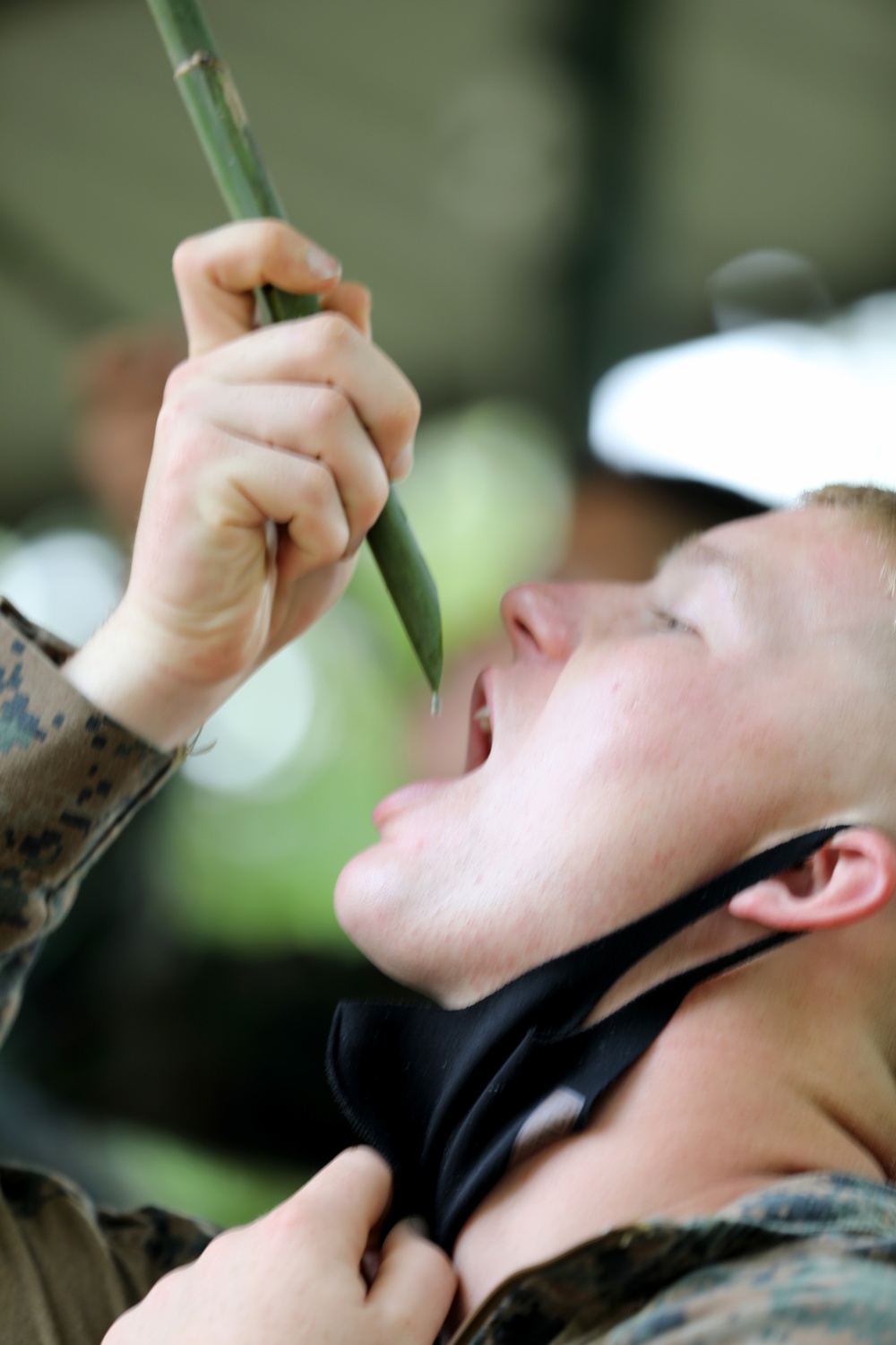 U.S., Thai Marines train for jungle survival at Cobra Gold