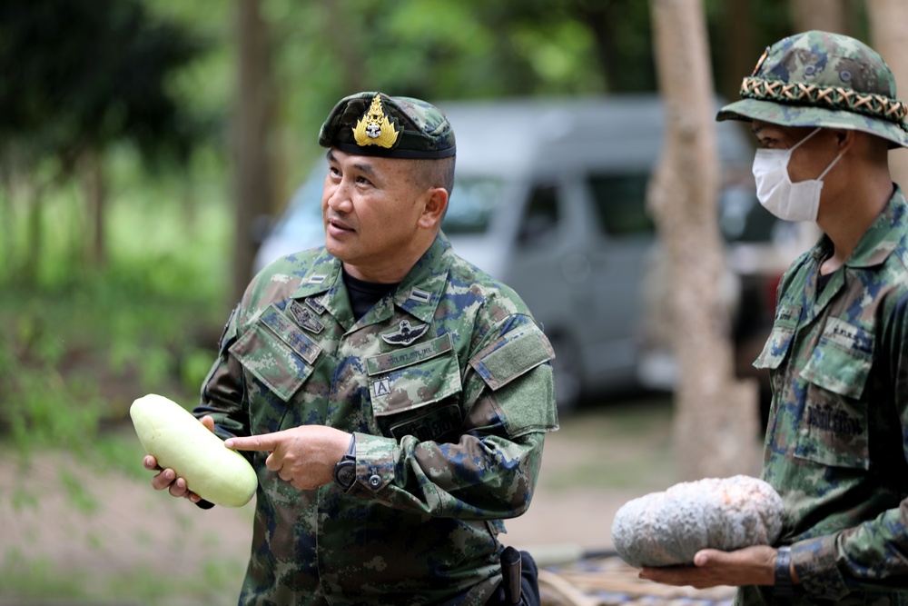 U.S., Thai Marines train for jungle survival at Cobra Gold