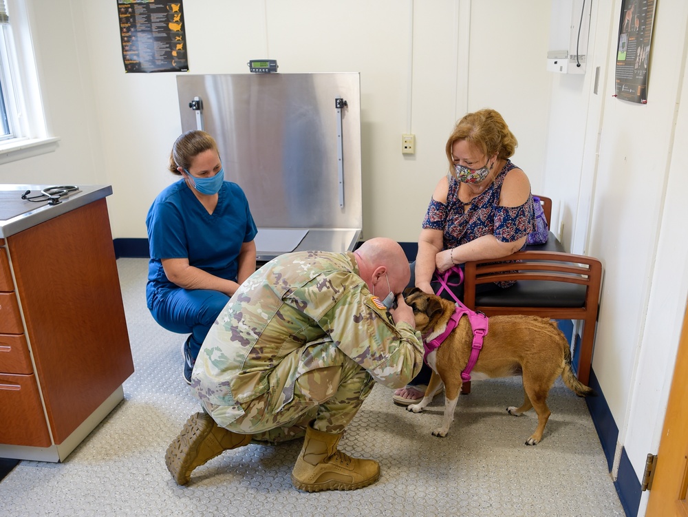 Veterinary Services are Available on Corry Station