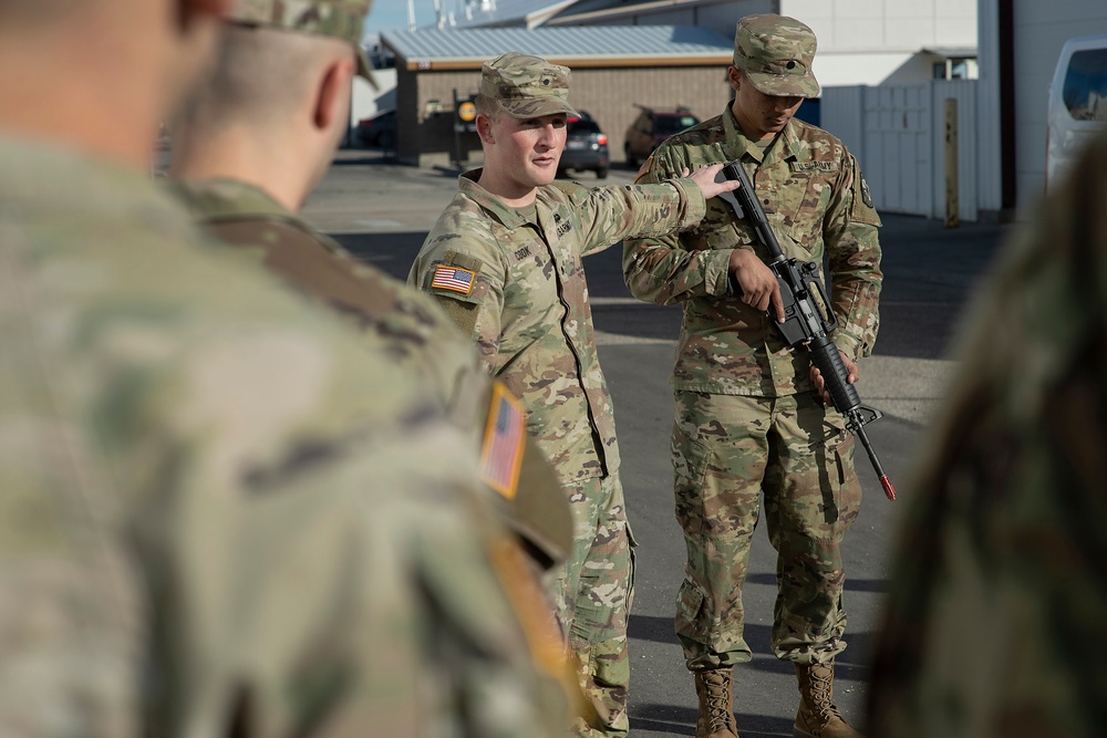 The Bronco Battalion - February Progress; EST