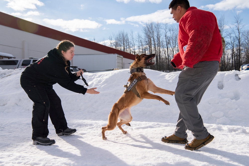 DVIDS - Images - Military Working Dogs train on JBER [Image 1 of 14]