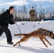 Military Working Dogs train on JBER