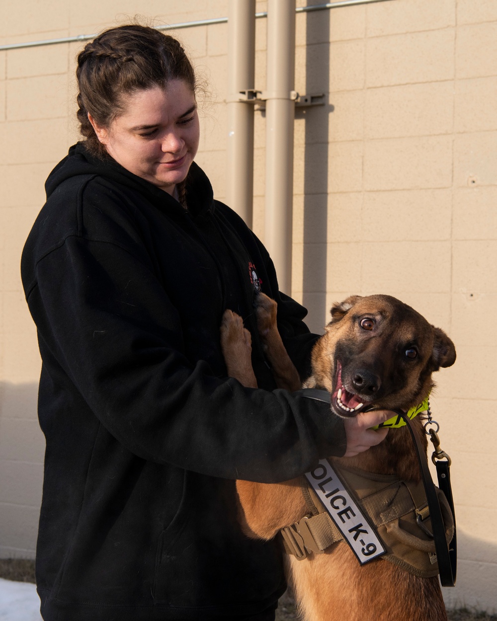 Military Working Dogs train on JBER