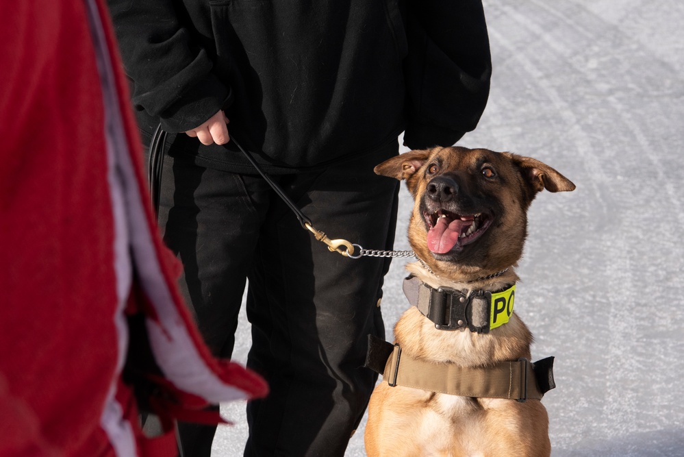 DVIDS - Images - Military Working Dogs train on JBER [Image 5 of 14]