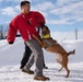 Military Working Dogs train on JBER