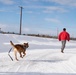 Military Working Dogs train on JBER