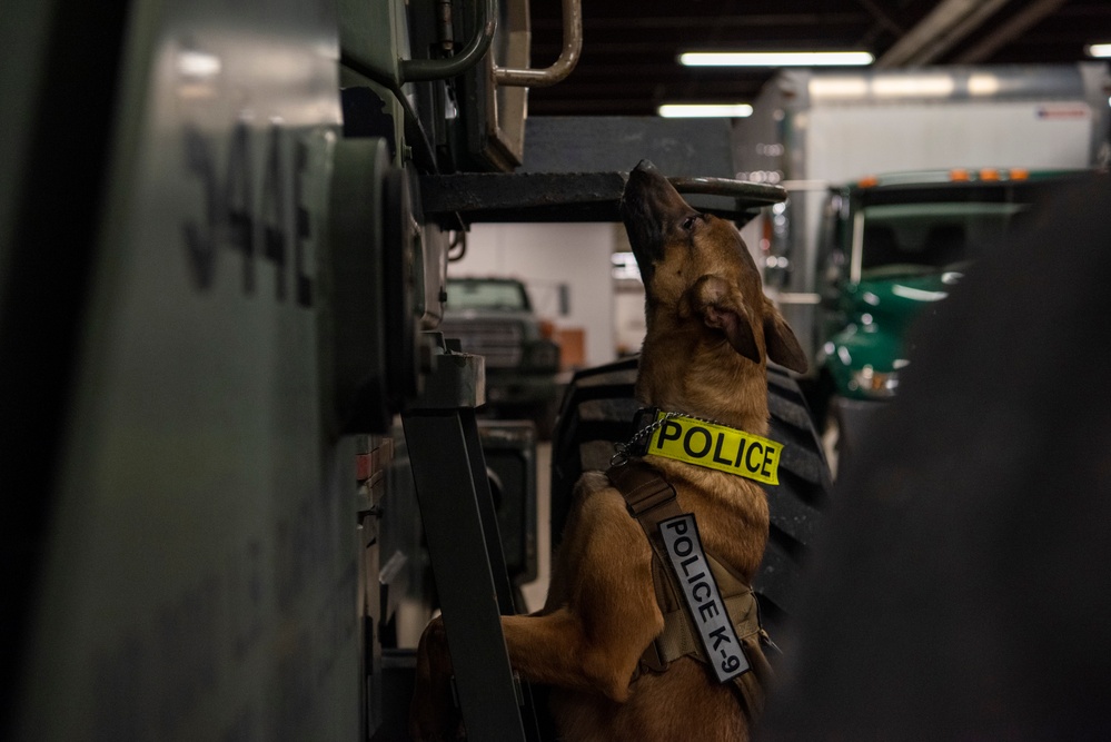 Military Working Dogs train on JBER