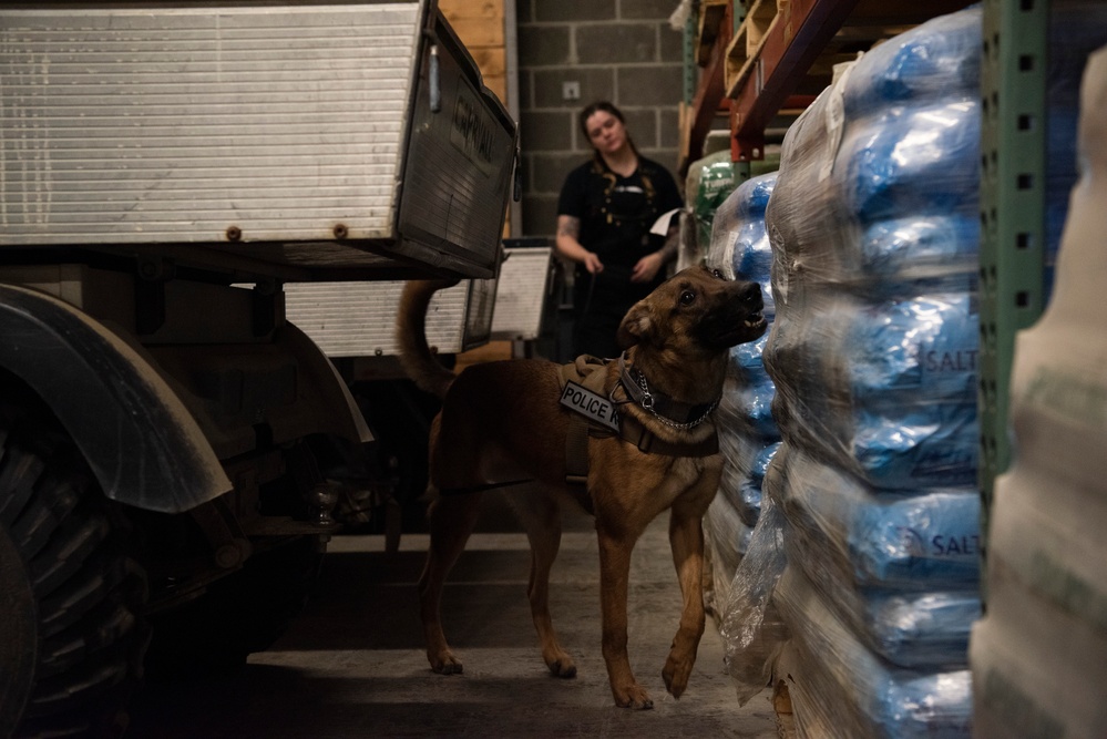 Military Working Dogs train on JBER