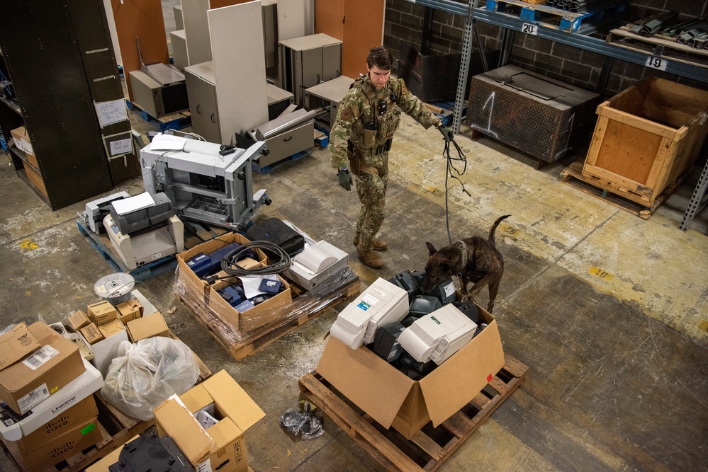 Military Working Dogs train on JBER