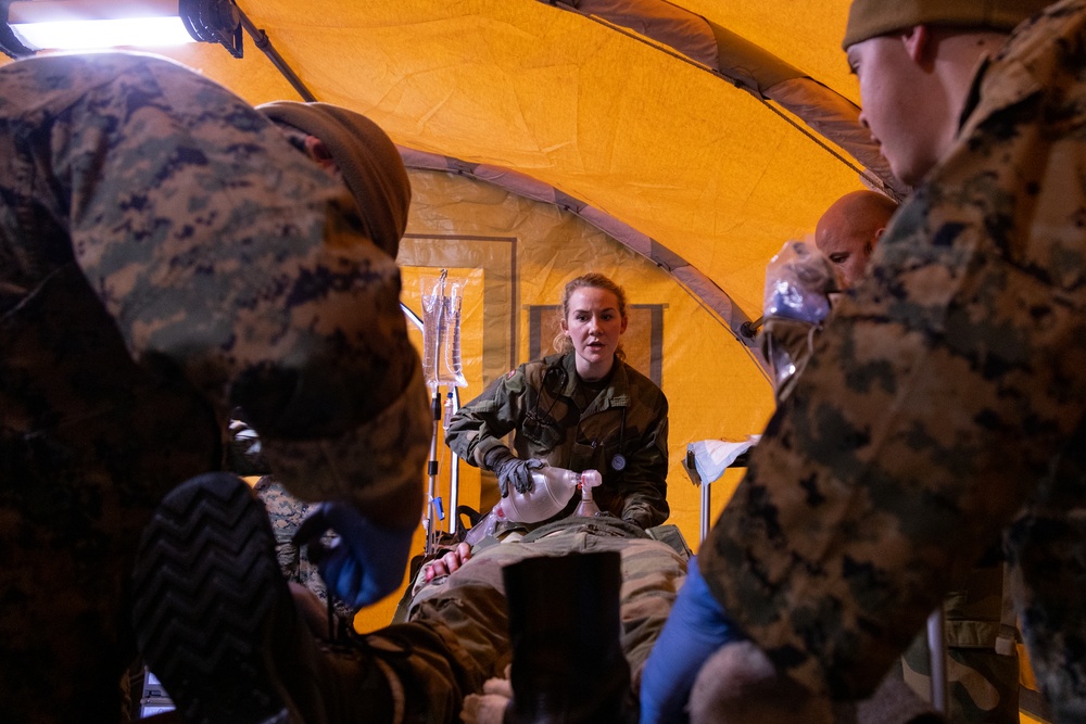 NATO Allies and Partners Integrate in Medical Training - Day Two