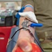 Iron Brigade hosts blood donation program