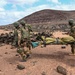 SFAB Soldiers Train Djiboutian Military Members in Air-Assault Exercise