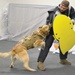 Working dog: Training event provides “street” experience