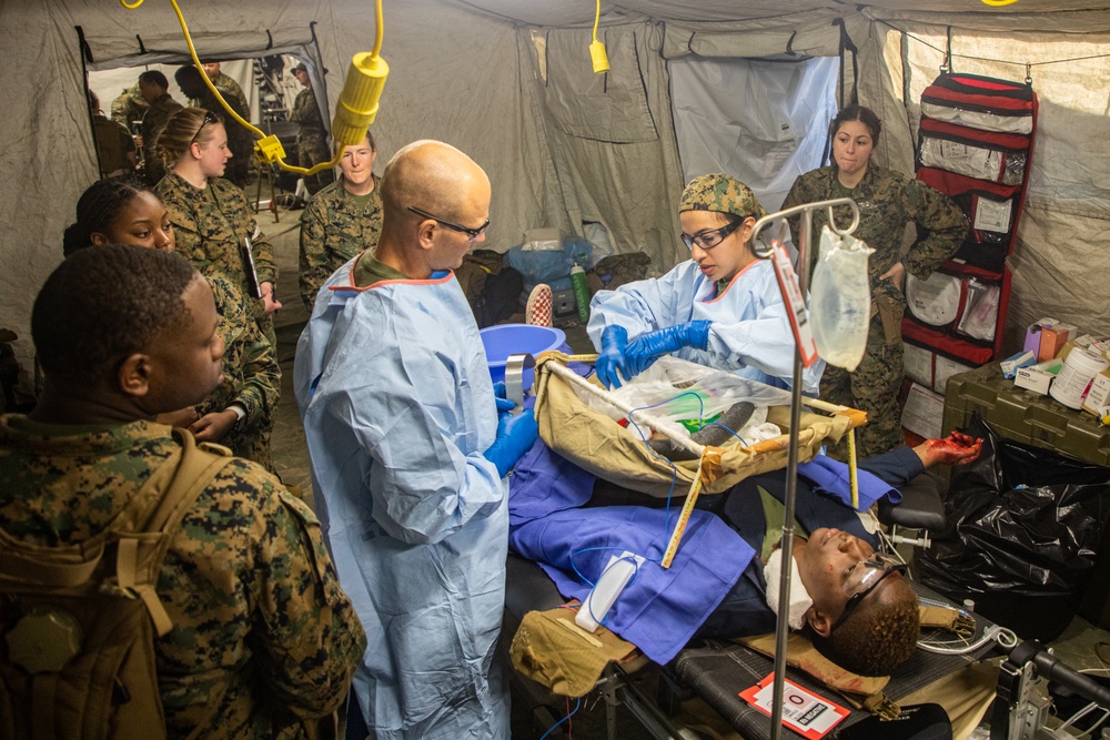 CLB-24 Field Exercise Casualty Evacuation Drill