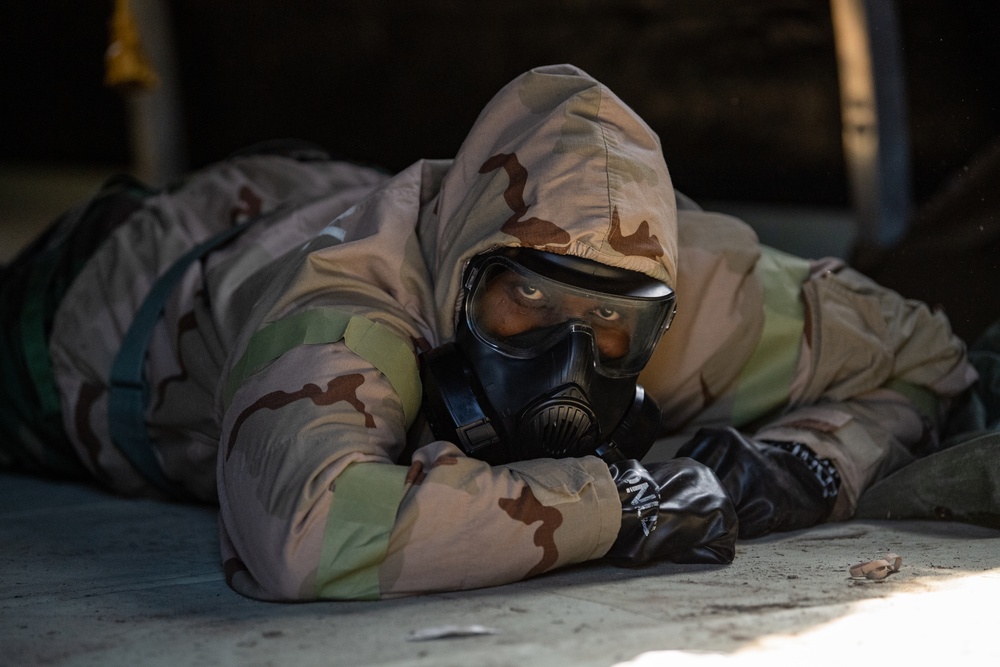 Moody exercises to counter CBRN threats