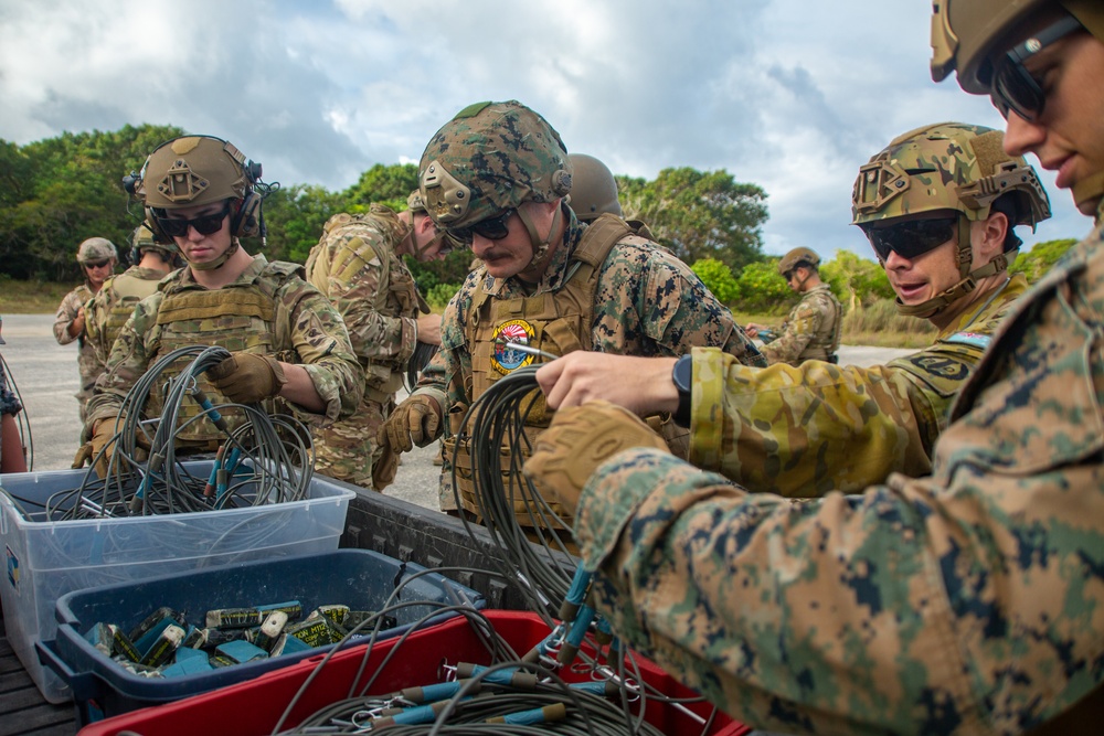 DVIDS - Images - Multilateral EOD Techs Clear Air Field [Image 1 of 16]