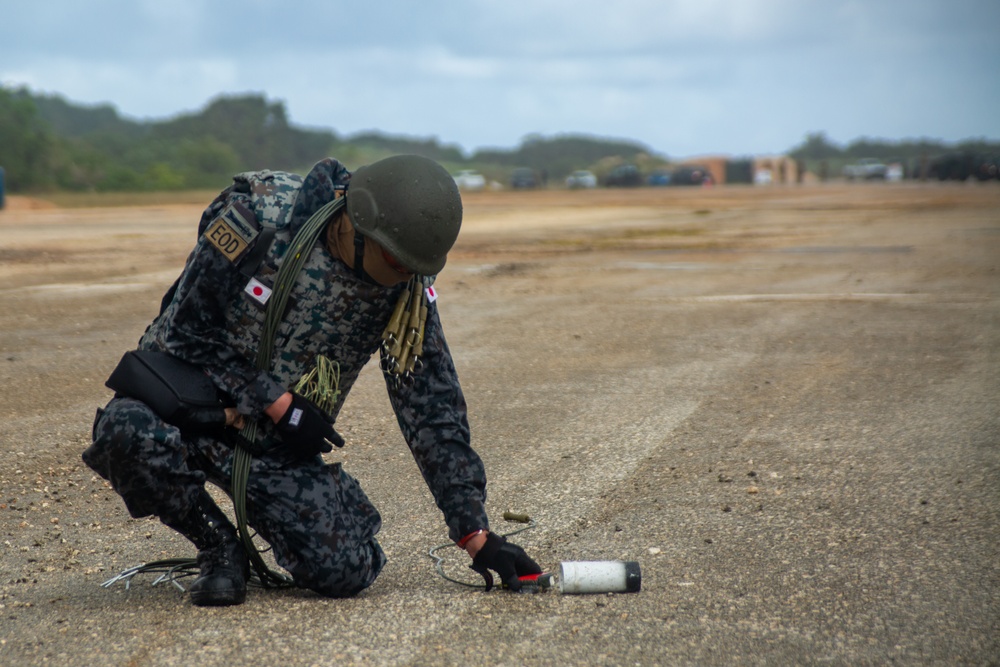 Multilateral EOD Techs Clear Air Field