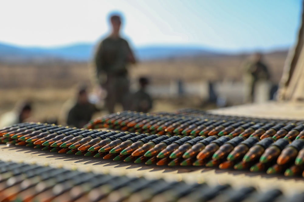 2/34 AR Conducts Training in Czech Republic