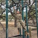 Army Reserve Soldier trumpets benefits of Best Warrior Competition