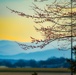 Spring Sunrise over the Smoky Mountains