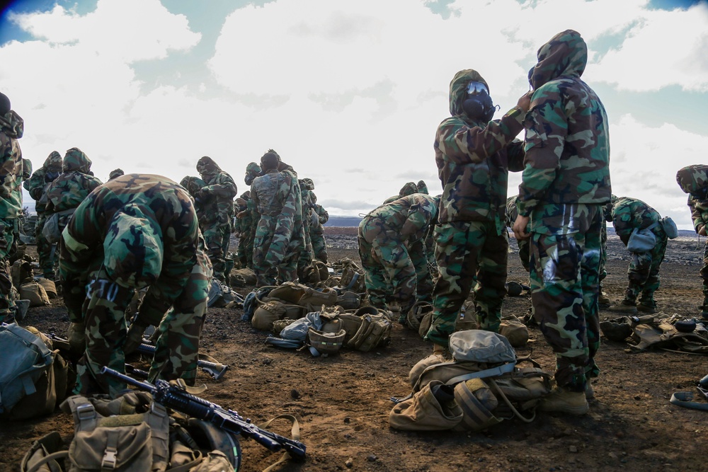 U.S Marines with 1/12 conduct CBRN training during Spartan Fury 22.1