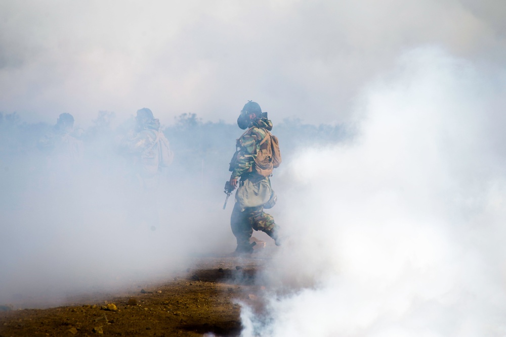 U.S Marines with 1/12 conduct CBRN training during Spartan Fury 22.1