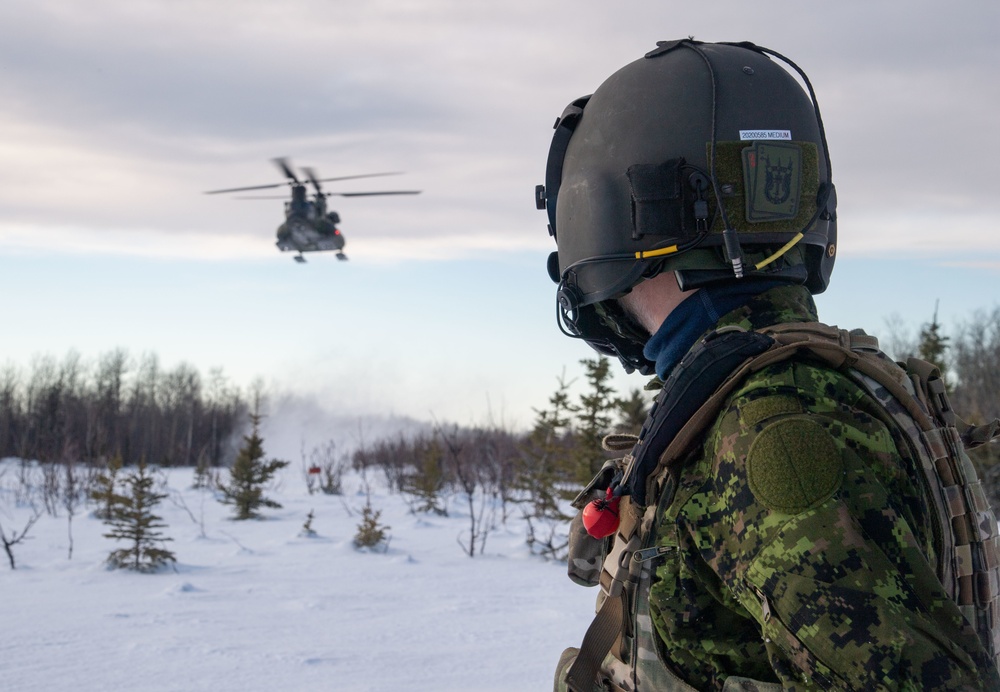 Watching a Snow Landing