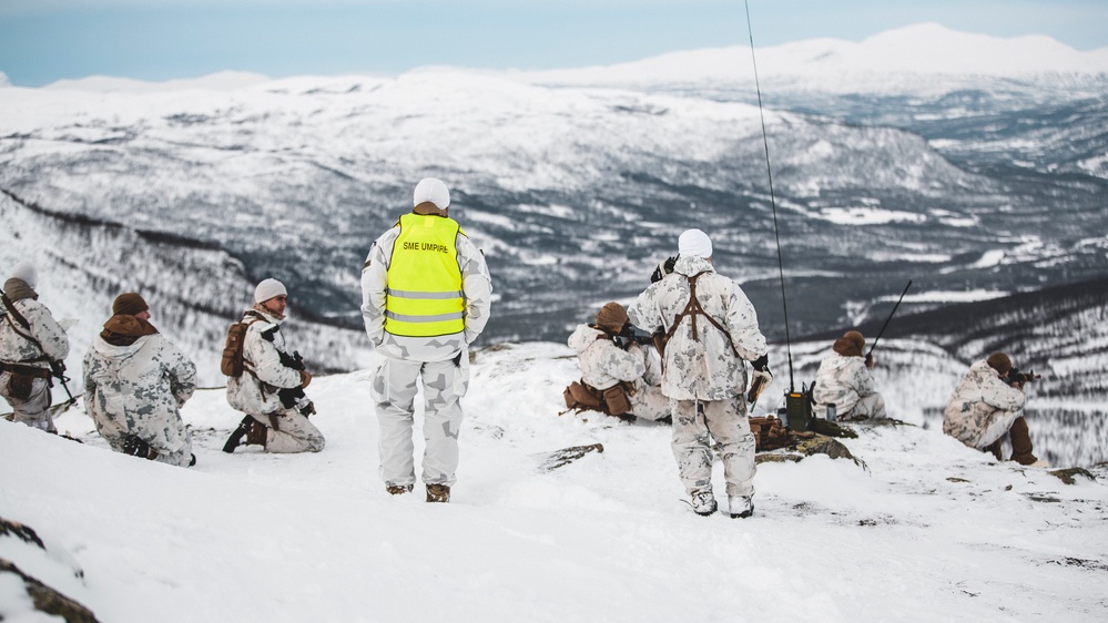 3/6 and 2nd LAAD Conduct Force on Force Training Event