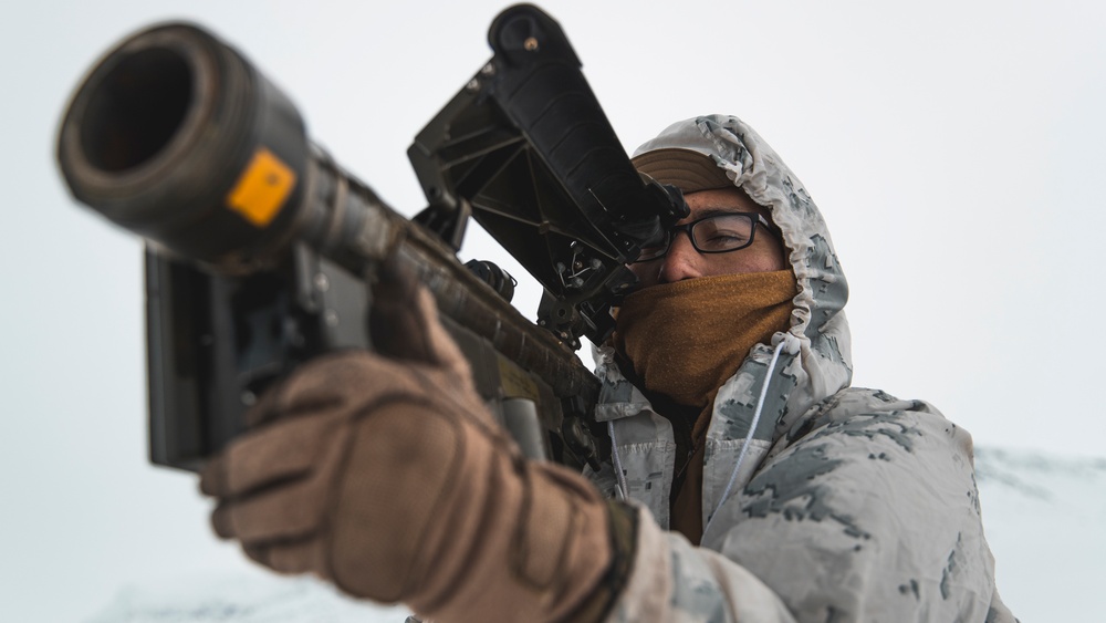 3/6 and 2nd LAAD Conduct Force on Force Training Event