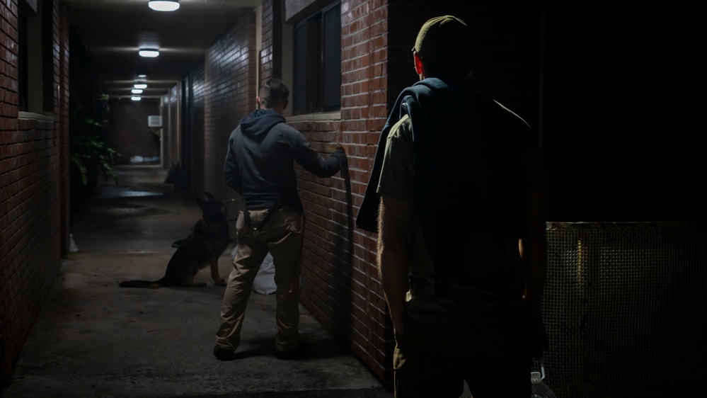 Kadena’s Military Working Dogs: Guardians of the Night