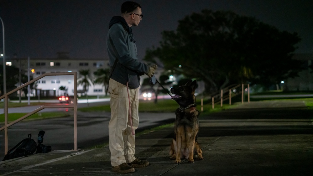Kadena’s Military Working Dogs: Guardians of the Night