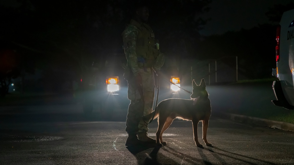 Kadena’s Military Working Dogs: Guardians of the Night
