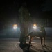 Kadena’s Military Working Dogs: Guardians of the Night