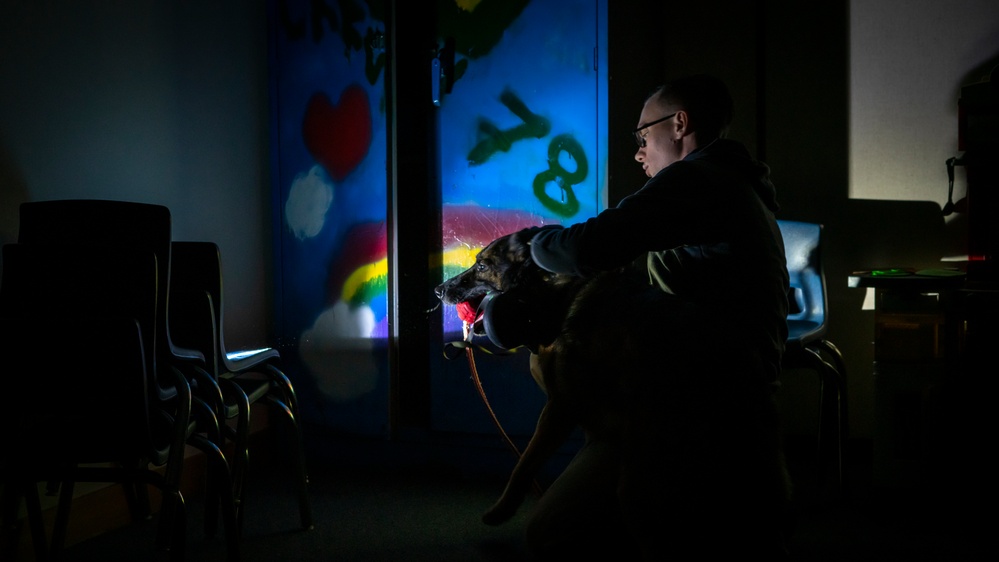 Kadena’s Military Working Dogs: Guardians of the Night