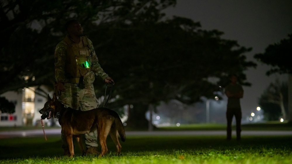 Kadena’s Military Working Dogs: Guardians of the Night