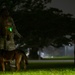 Kadena’s Military Working Dogs: Guardians of the Night