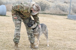 75th Security Forces Squadron welcomes new MWDs