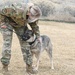 75th Security Forces Squadron welcomes new MWDs