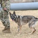 75th Security Forces Squadron welcomes new MWDs
