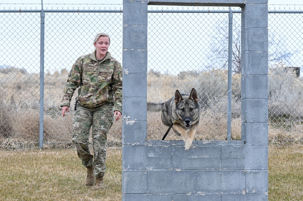 75th Security Forces Squadron welcomes new MWDs