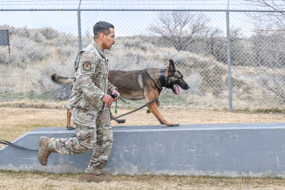 75th Security Forces Squadron welcomes new MWDs