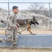 75th Security Forces Squadron welcomes new MWDs